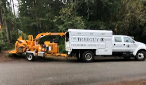 The Tree Guy Arborist