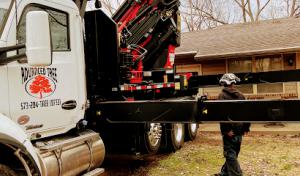 Advanced Tree Service