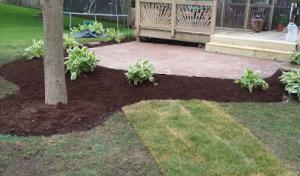 NJE Tree Service & Landscaping