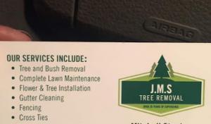 J.M.S tree removal