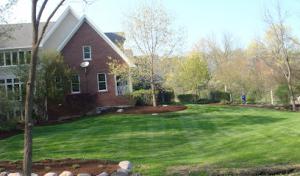 Roybal Septic Services