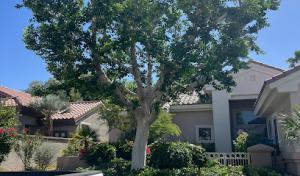 Aldana Tree Service
