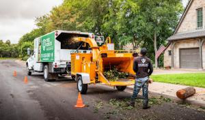 Tree Scouts Tree Service Leander