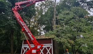 Pulla Tree Services