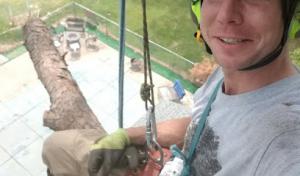 Humanitree Tree Service