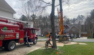 Nunnally’s Tree Service