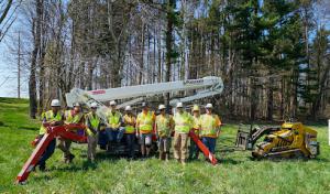 Tree Frog Tree Service