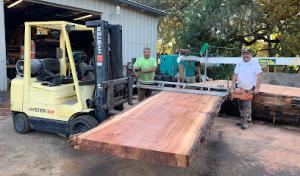 McMillan Tree Services