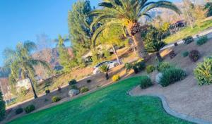 Lorenzo's Landscaping & Tree Services in Upland Ca