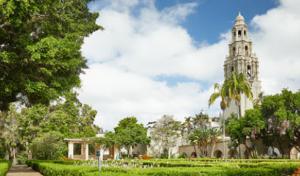 Atlas Tree Service - SavATree