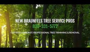 New Braunfels Tree Service Pros