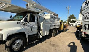 Peru´s Tree Service