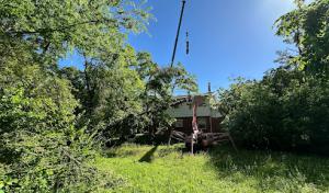 A Premier Tree Service