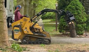 The Tree-Man Tree Service