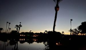 SoCal View Tree & Palm Services