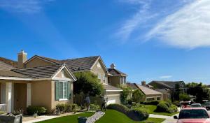 Pro Scape Landscaping