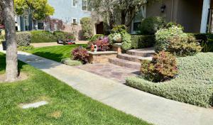 Lopez Landscape & Tree Care