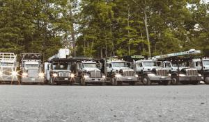 New England Tree Masters | Tree Service in Boxborough MA