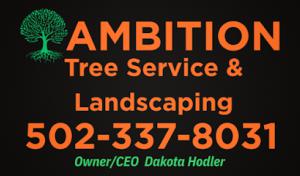 Ambition Tree Service & Landscaping
