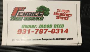 1St Choice Tree Service