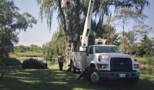 Community Tree Service