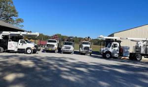 Newman's Tree Service