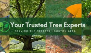 Highpoint Tree Care | Tree Service & Tree Removal Cypress, TX