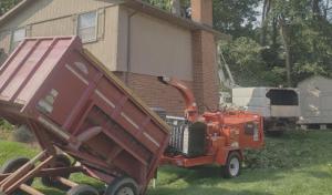 Cheapest Tree Services