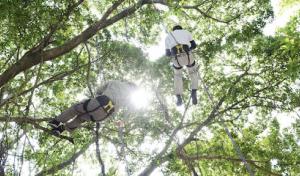 Emerald Tree & Shrub Care Company