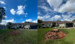 Tree Service Davenport FL