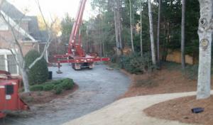 770 Arborist Emergency Tree & Crane Service