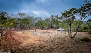 Texas Wildscapes' Billy Goat Clearing