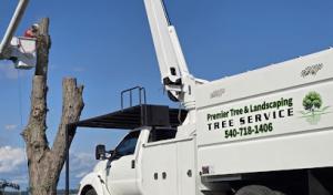 Premier Tree & Landscaping