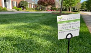 Plant & Tree Solutions