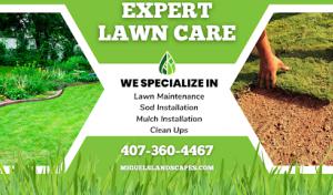 Statewide Septic Solutions