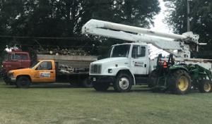 Allegiance Tree Service