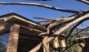 Armstrong Tree Service