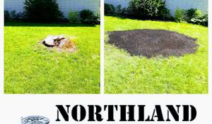 Northland Tree, Stump & Top Soil