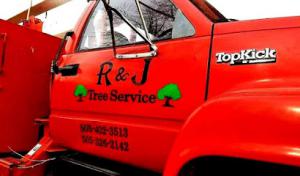 R & J tree service