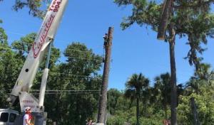 Eagerton Tree Service