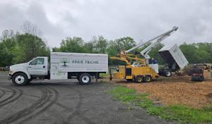 Tree Techs Care & Removal