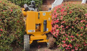 Sharptop Tree Service