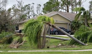 Tree Squad Pembroke Pines