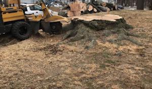 Devo's Tree & Stump removal