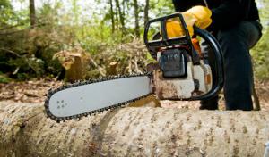 Mayo & Sons Landscaping & Trees