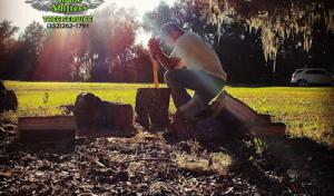 Shade Shifters Tree Service