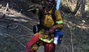 Skylake Tree Services