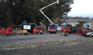 Dreamland Tree Service