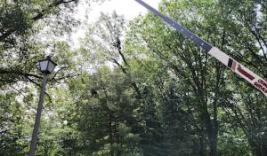 Hecksel Tree Service