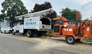 Skyway Tree Service